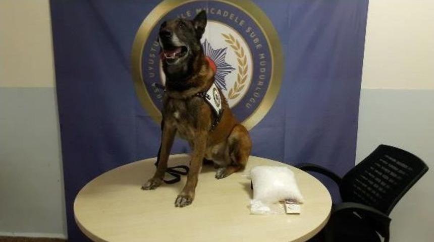 Otomobildeki Uyuşturucuyu 'alfa' Buldu