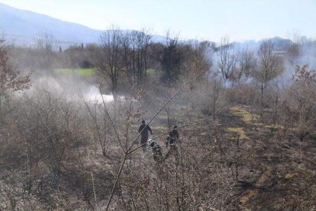 Ateşe Verilen Lastikler Makilik Alanı Yaktı