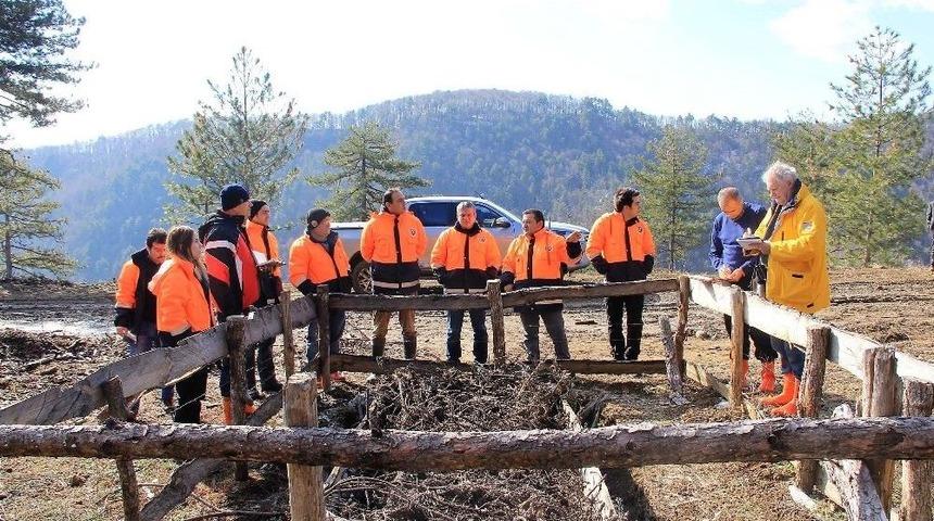Sertifikalı Ormanlar Denetlendi