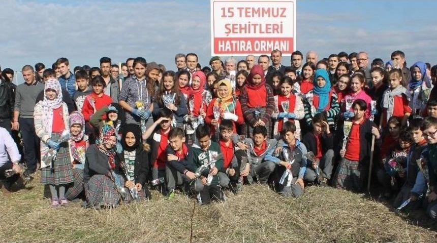 15 Temmuz Şehitleri Anısına Hatıra Ormanı