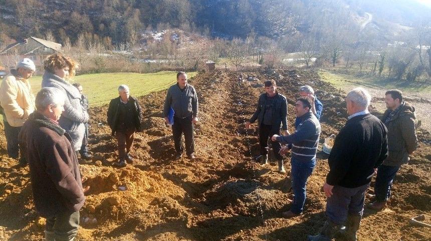 Bartın&rsquo;da 2 K&ouml;yde Kızılcık Bah&ccedil;esi Kuruldu
