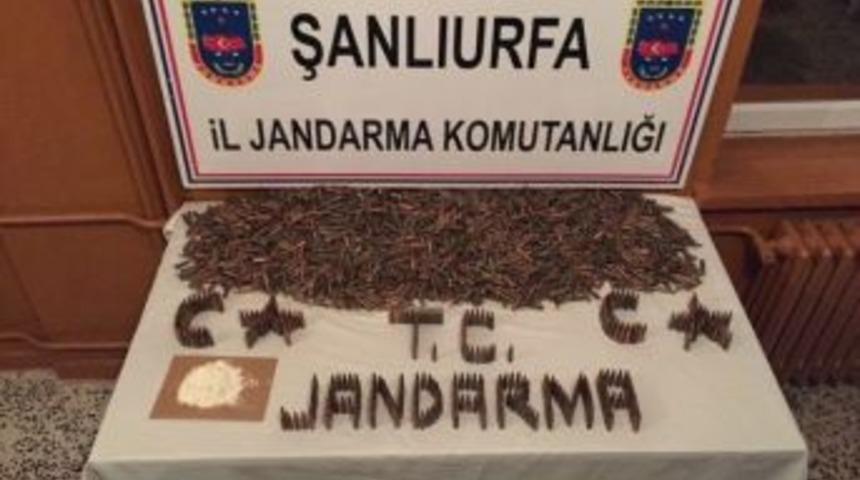 Şanlıurfa&rsquo;da Toprağa G&ouml;m&uuml;l&uuml; M&uuml;himmat Ele Ge&ccedil;irildi