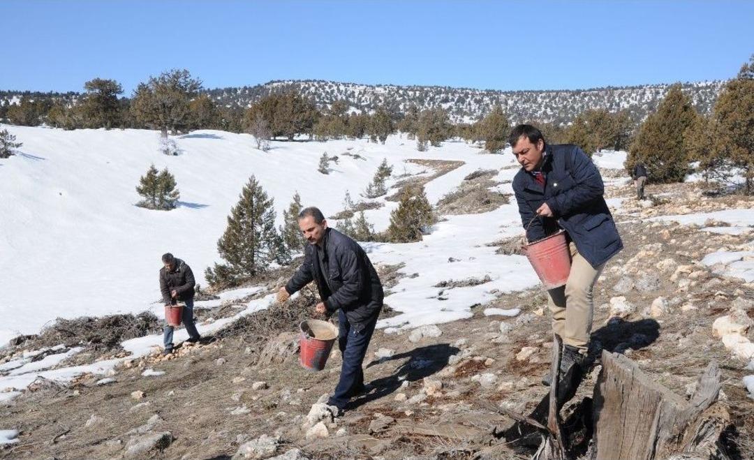 Mersin&rsquo;de Yaban Hayvanları İ&ccedil;in Doğaya Yiyecek Bırakıldı