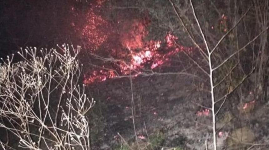 Orman Yangını B&uuml;y&uuml;meden S&ouml;nd&uuml;r&uuml;ld&uuml;