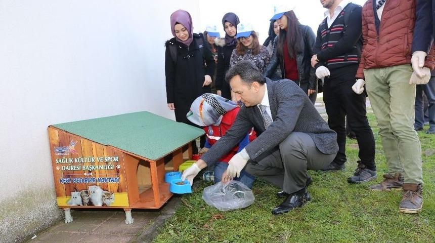 Kedi Ve K&ouml;pekler İ&ccedil;in Gt&uuml; Kamp&uuml;s&uuml;ne Besleme Noktaları Kuruldu