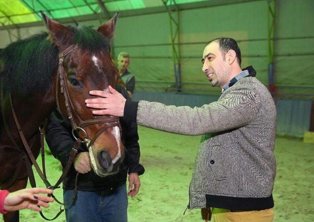 Atlı Terapi Şifa Dağıtıyor