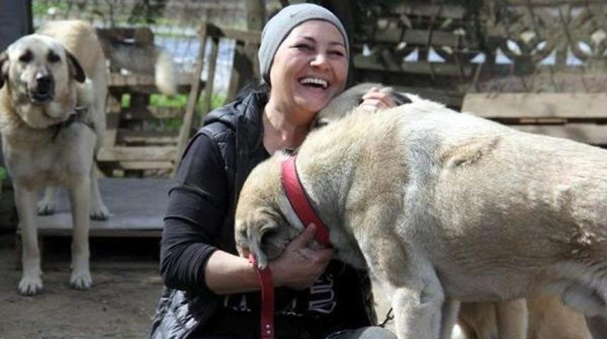 &Ouml;ğretmenliği Bıraktı, Veterinerlik Eğitimi Aldı, Kurduğu Barınakta 400 K&ouml;peğe Bakıyor