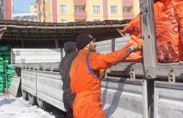 Üniversite Öğrencisi Kömür Taşıyarak Okuyor