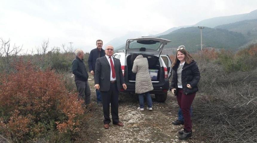 Kırkağa&ccedil;&rsquo;ın Hayvan Barınağı İ&ccedil;in İnceleme