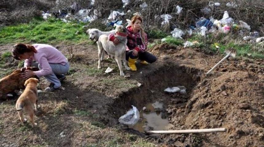 Bartın'daki Hayvanseverler A&ccedil;lık Grevini S&uuml;rd&uuml;r&uuml;yor
