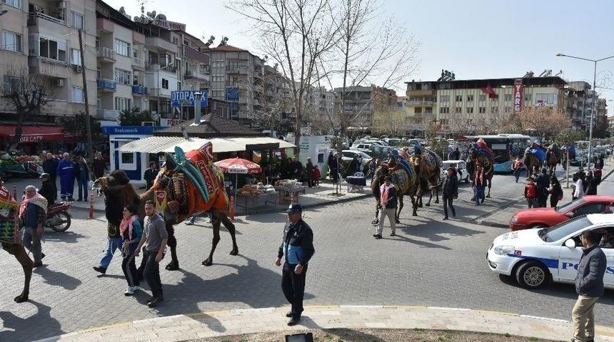 G&uuml;reş&ccedil;i Develer Şehir Turu Attı