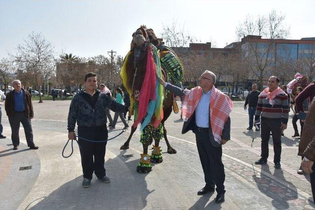 Güreşçi Develer Şehir Turu Attı