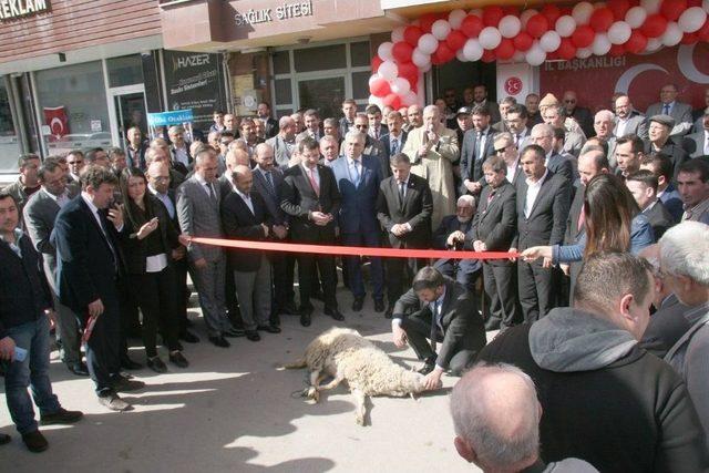 Mhp Genel Başkan Yardımcısı Doç. Dr. Günal: 