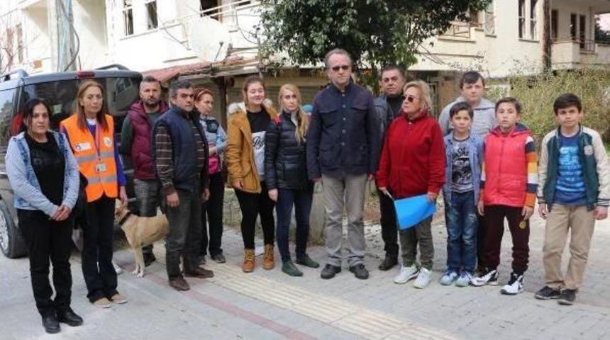 Alanya'da 30 Kedi Katledildi (2)