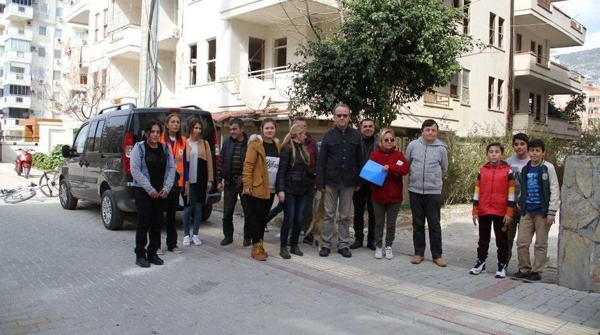 Alanya&rsquo;daki Kedi &Ouml;l&uuml;mlerine Hayvan Severlerden Tepki