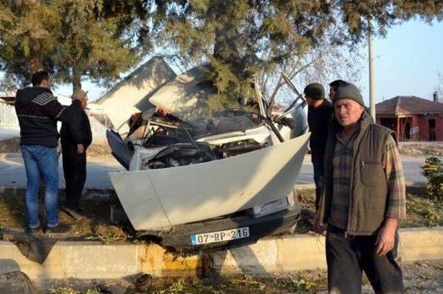 Ağaca Çarpan Otomobildeki 1 Kişi Öldü, 2 Kişi Yaralandı