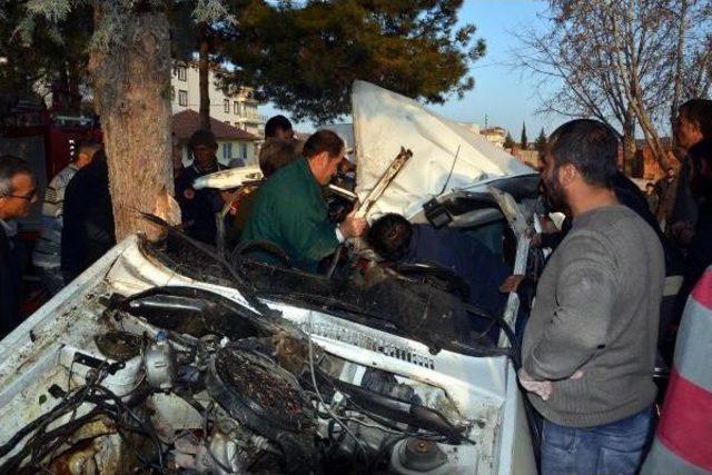 Ağaca Çarpan Otomobildeki 1 Kişi Öldü, 2 Kişi Yaralandı