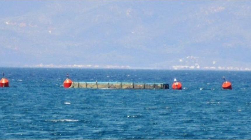 Ayvalık&rsquo;ta Balık &Ccedil;iftlikleri İ&ccedil;in Bilirkişi İncelemesi