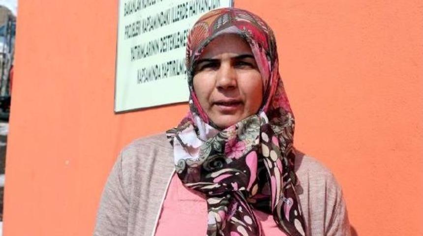 Bing&ouml;ll&uuml; Kadın Girişimci 3 &Uuml;lkeden 30 B&uuml;y&uuml;kbaş Hayvan Aldı