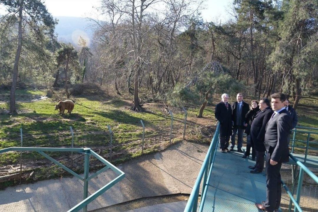 Bursa&rsquo;ya Yaban Hayvanları Uygulama Ve Araştırma Merkezi Geliyor