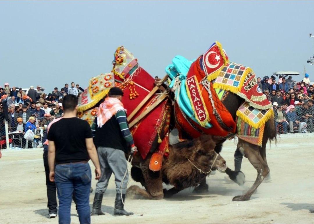 3. Deve G&uuml;reşleri Festivali&rsquo;ne B&uuml;y&uuml;k İlgi