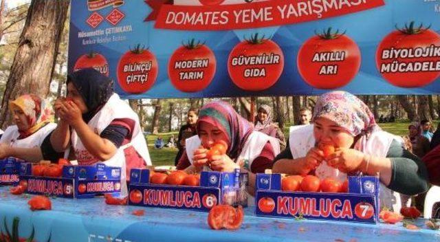 Önce Doğa Yürüyüşü, Sonra Domates Yeme Yarışması