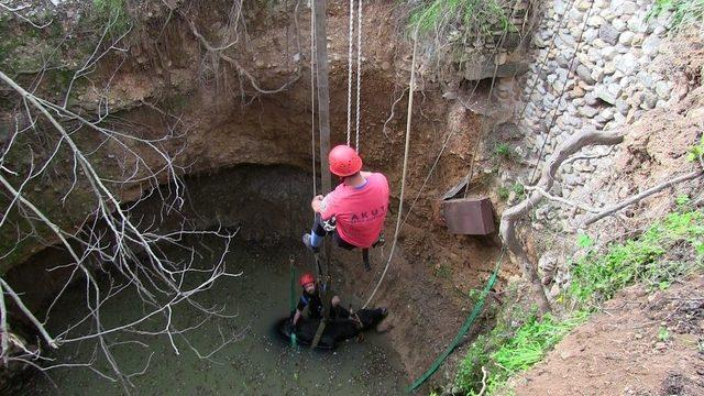 Kuyuya Düşen İnek İçin Seferber Oldular