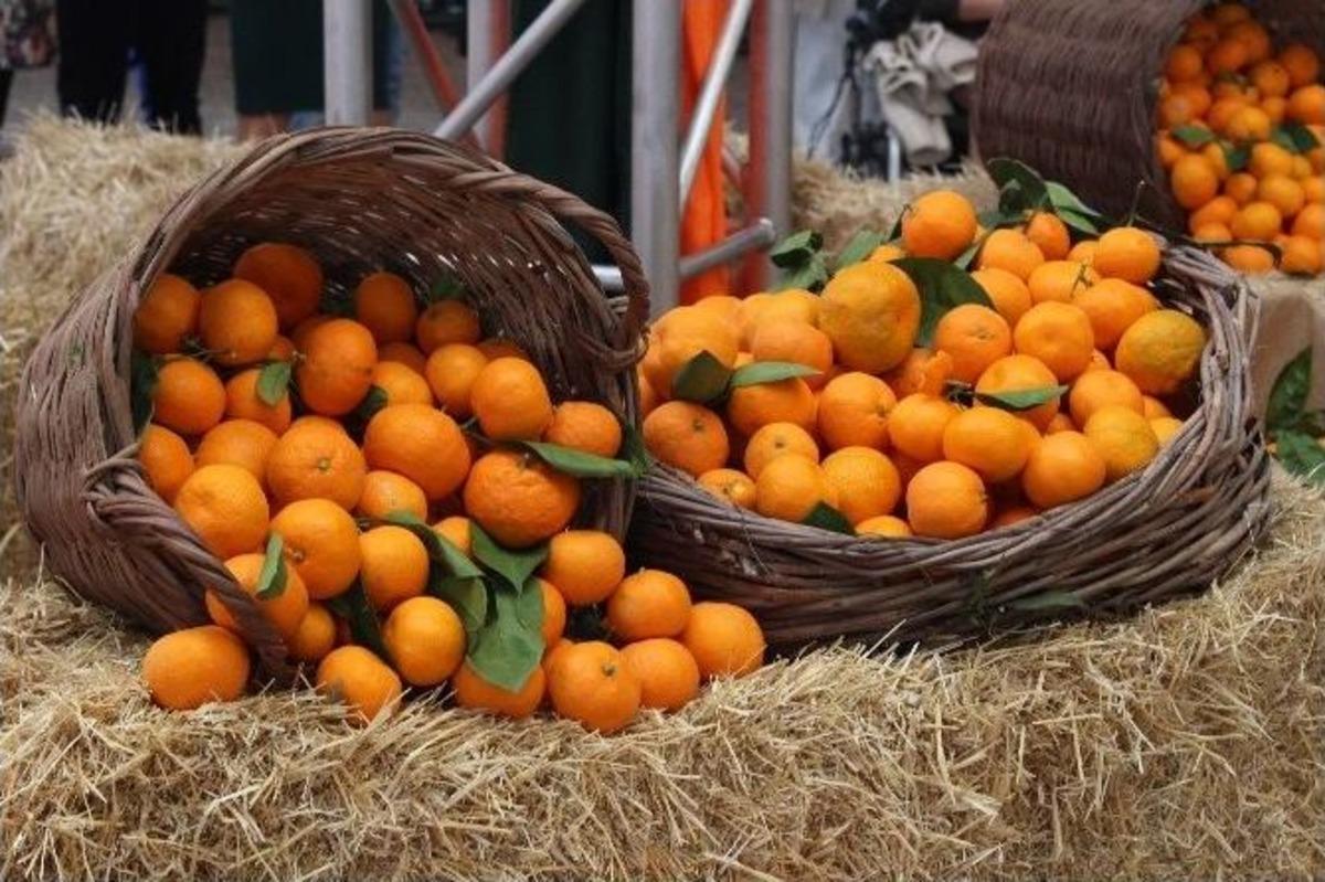 17. Seferihisar Mandalina Şenliği&rsquo;nde Renkli G&ouml;r&uuml;nt&uuml;ler Oluştu