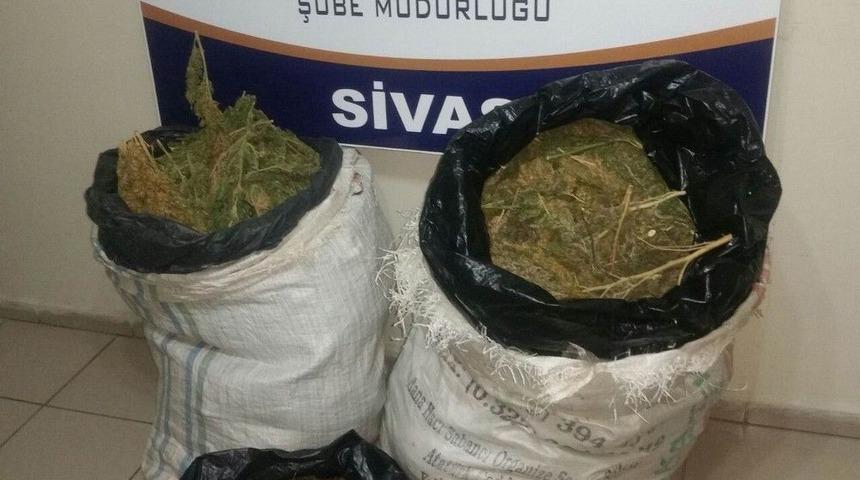 Sivas&rsquo;ta 44 Kilogram Esrar Ele Ge&ccedil;irildi