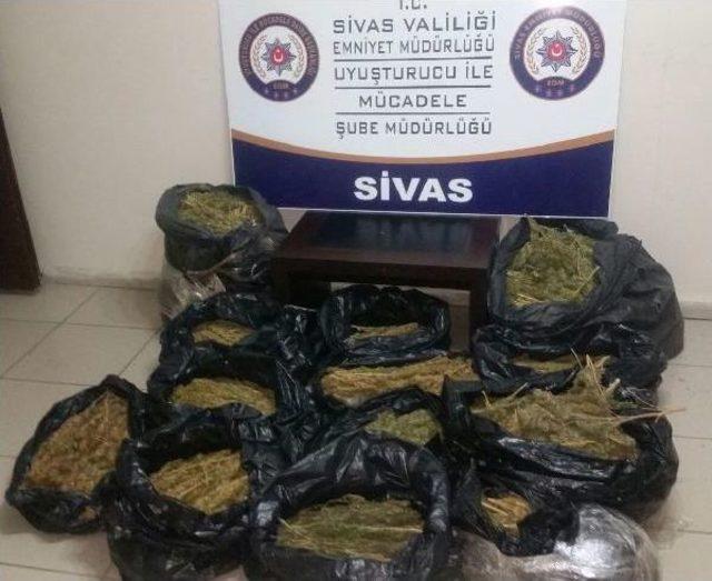 Sivas'ta 44 Kilo Esrar Ele Geçirildi