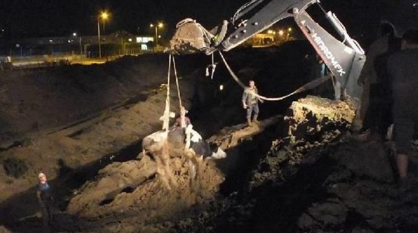 Zonguldak&rsquo;Ta Inek Kurtarma Operasyonu