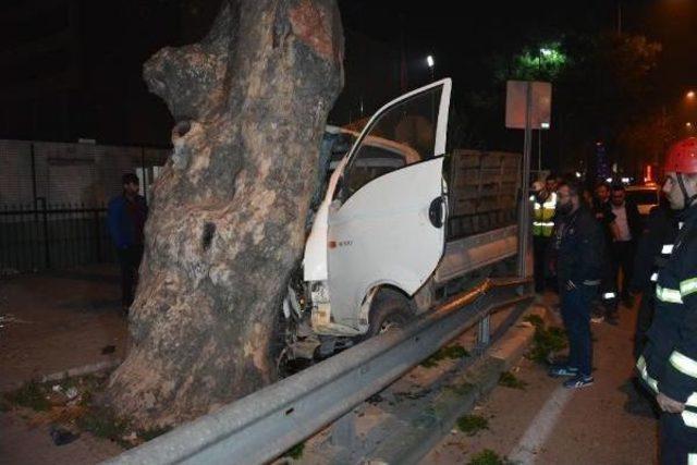 Çınar Ağacına Çarpan Kamyonet Sürücüsü, Direksiyon Başında Sıkıştı