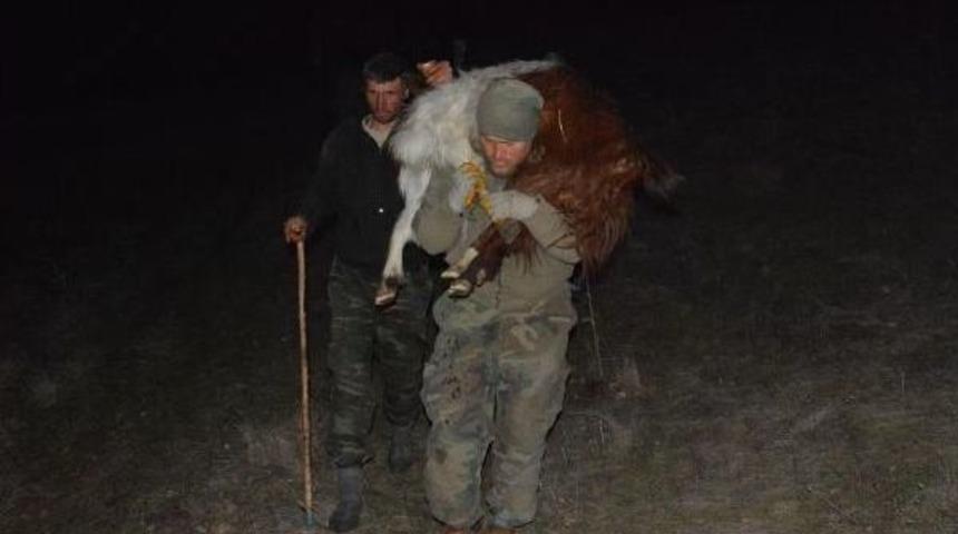 Ke&ccedil;iler Kayalıklarda Mahsur Kaldı