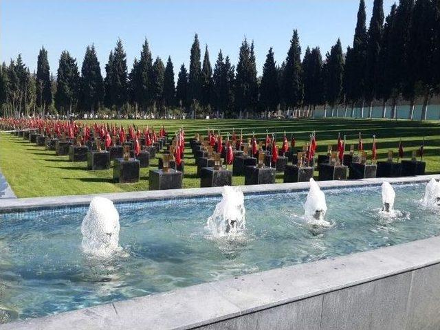 Mezarlıklar &Ccedil;i&ccedil;ek A&ccedil;tı 2