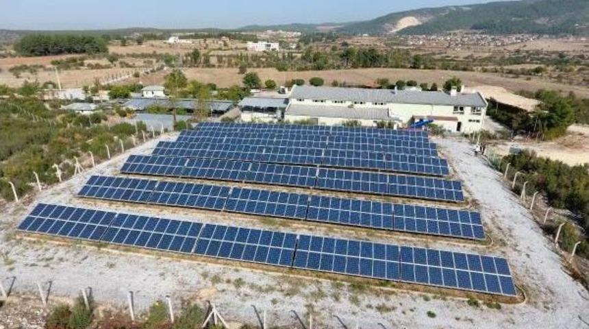 Mezbaha Elektriğinden 217 Bin Lira Tasarruf