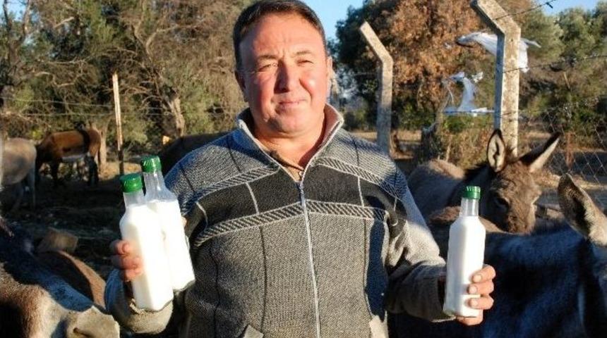 (özel Haber) Altınla Yarışan Eşek Sütünün Fiyatı 80 Lira