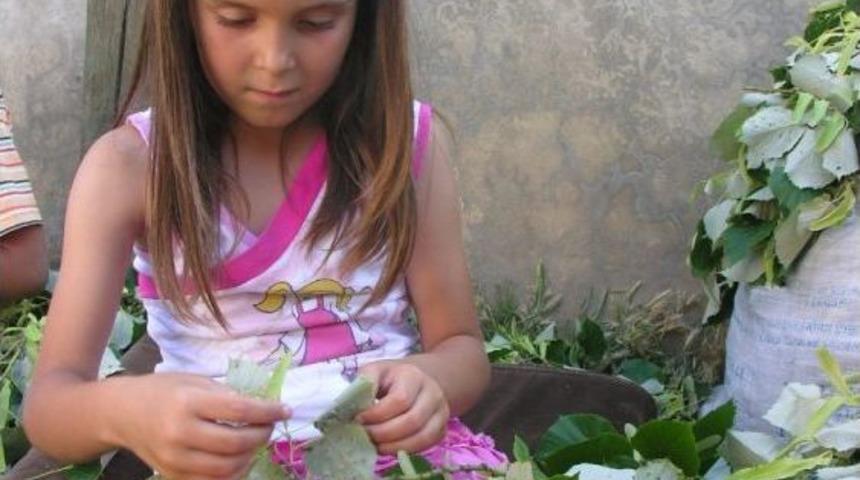 Ormanların Altını Ihlamur