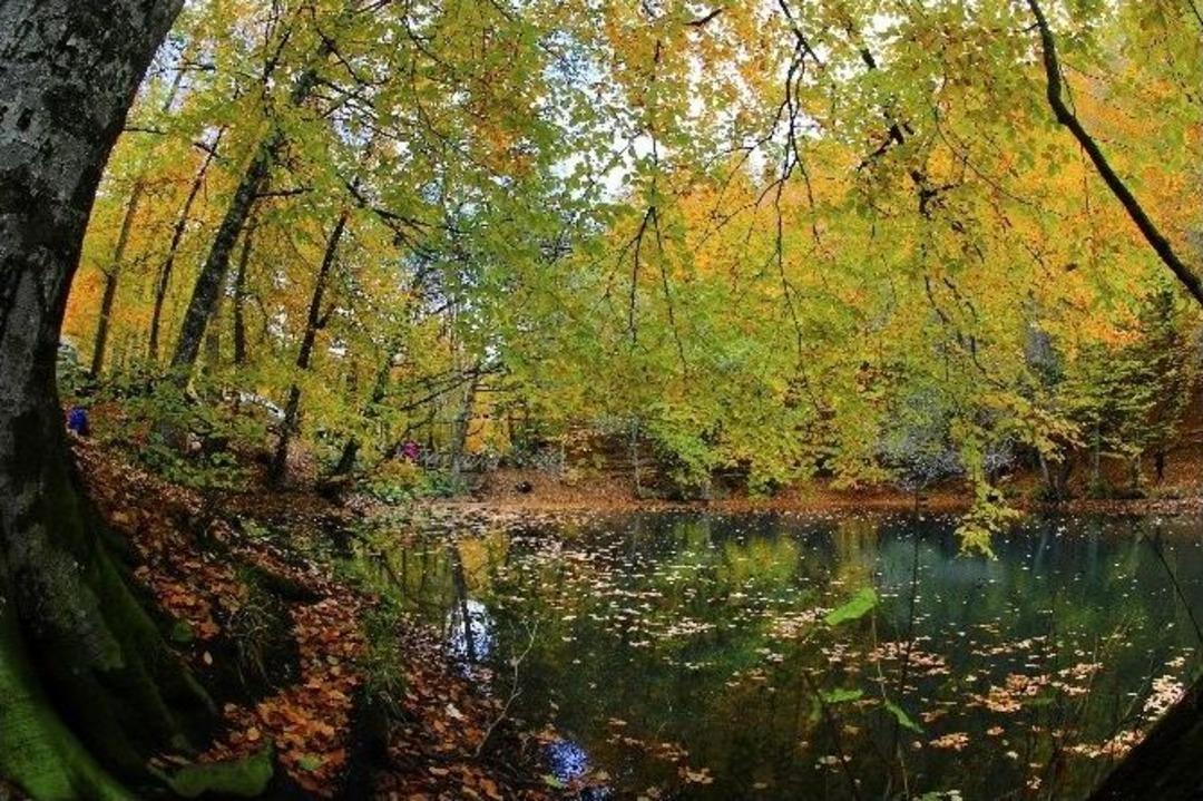 En Doğa(l) Fotoğraflarla Yedig&ouml;ller Sonbaharda B&uuml;y&uuml;ledi