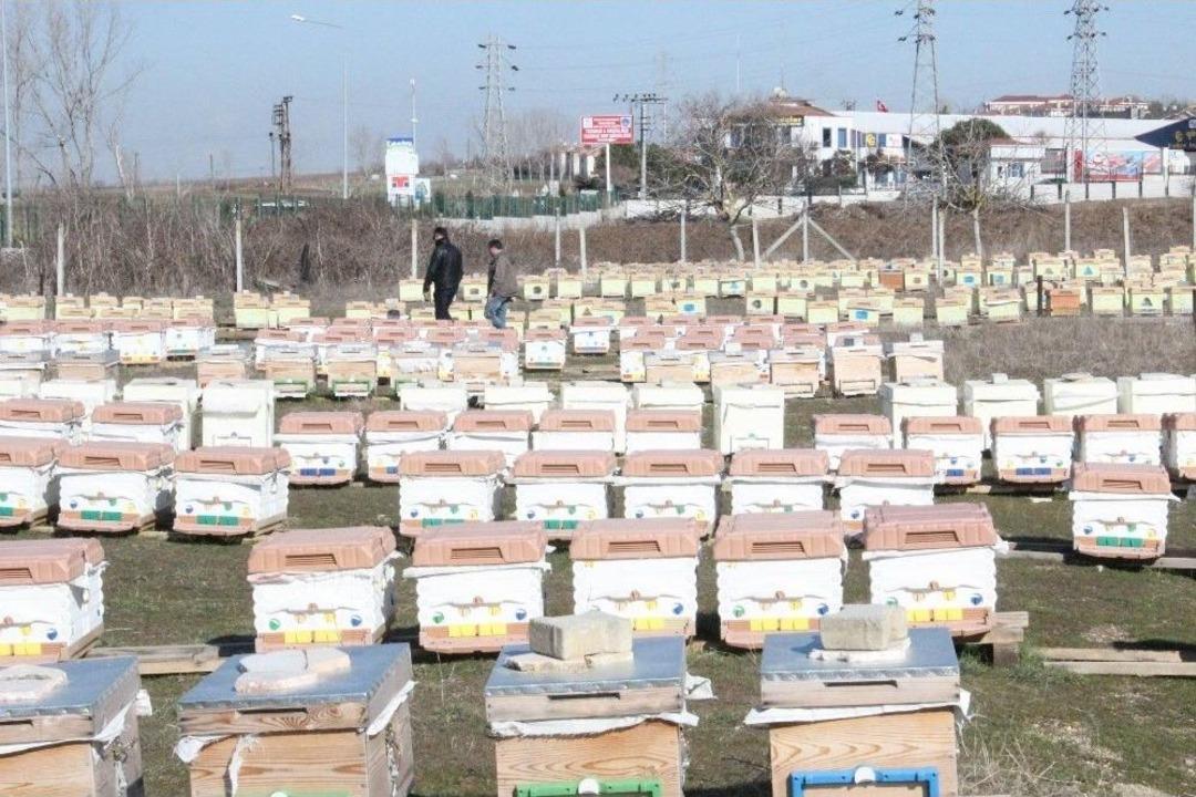 (&ouml;zel Haber) Kış Kayıplarında &Ccedil;&ouml;z&uuml;m İzolasyonlu Kovan