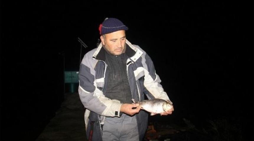 Baraj Ve G&ouml;ller &lsquo;israil Sazanı&rsquo; Tehdidi Altında