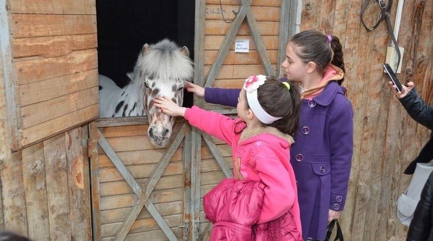 S&uuml;leymanpaşa Belediyesi &Ccedil;ocuk Kul&uuml;b&uuml;&rsquo;nden &Uuml;yelerine Binicilik Eğitimi