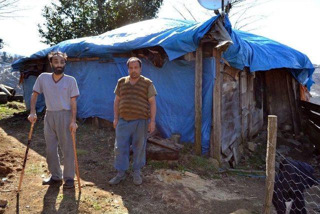 İki Kardeşin Harabe Evde Yaşam Mücadelesi