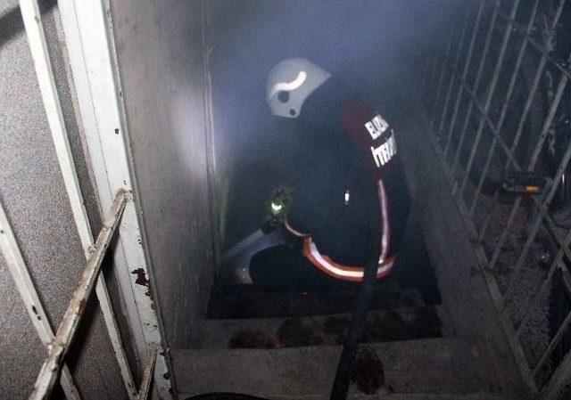 Yangında Mahsur Kalan Kediyi İtfaiye Kurtardı 1