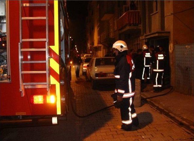 Yangında Mahsur Kalan Kediyi İtfaiye Kurtardı 2