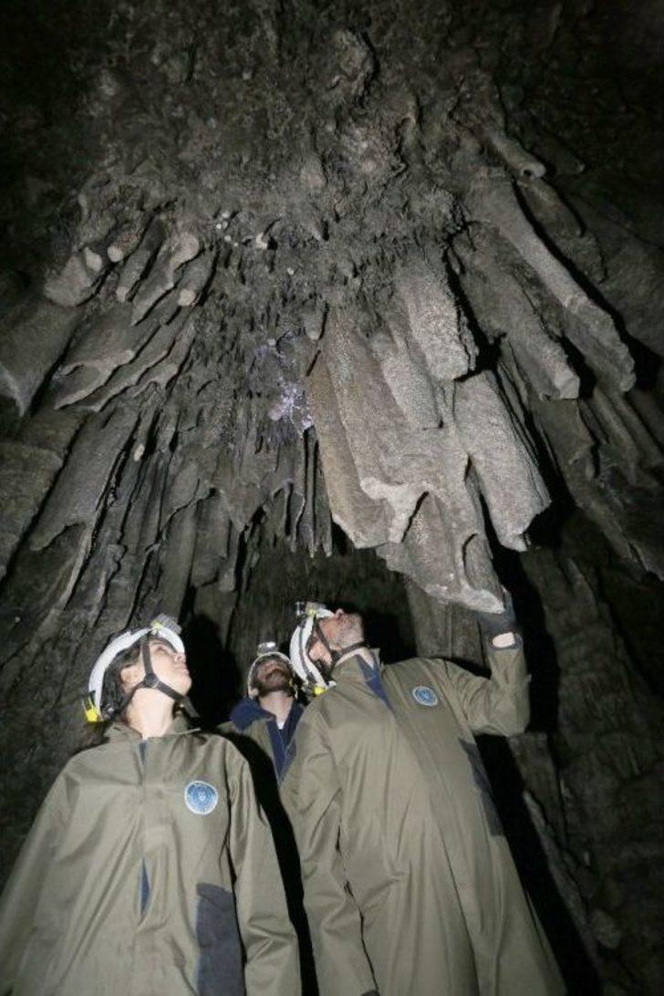 Defineciler Bilim Adamlarından Hızlı Çıktı. G3