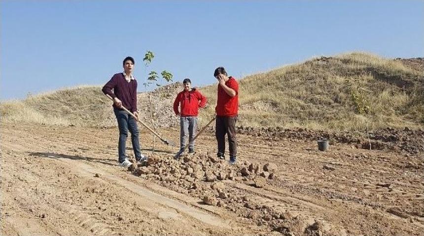 Ted &Ouml;ğrencileri Har&ccedil;lıklarıyla Fidan Dikti