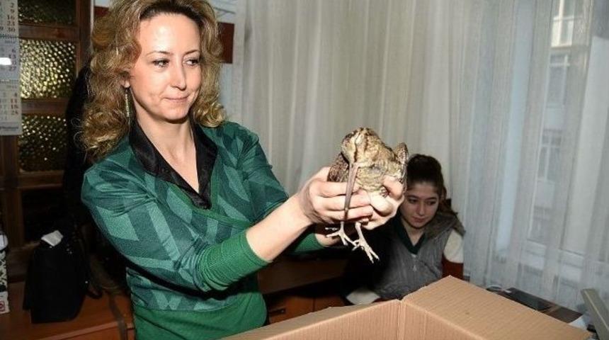 Tam Da Yerine D&uuml;şt&uuml;