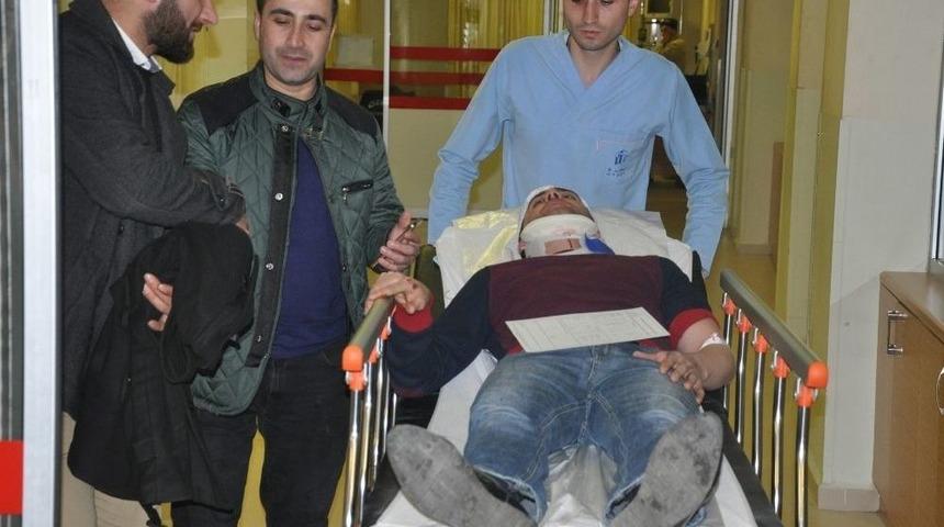 K&ouml;pek Leşine &Ccedil;arpmamak İ&ccedil;in Takla Attı