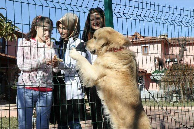 (özel Haber-hd) Doktorlar, ‘yürüyemez’ Dedi, Şimdi Koşuyor