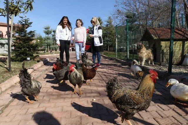 (özel Haber-hd) Doktorlar, ‘yürüyemez’ Dedi, Şimdi Koşuyor